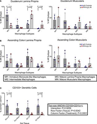 Early treatment with anti-α4β7 antibody facilitates increased gut macrophage maturity in SIV-infected rhesus macaques